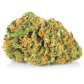 susz cbd gorilla gold kraina konopi sklep cbd 1g 2g 3g 4g 5g 10g 20g 30g 40g 50g 100g 200g 300g 400g 500g 1000g 1kg 2kg 5kg 10kg hurt detal (3).jpg