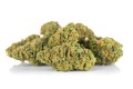 susz cbd gorilla gold kraina konopi sklep cbd 1g 2g 3g 4g 5g 10g 20g 30g 40g 50g 100g 200g 300g 400g 500g 1000g 1kg 2kg 5kg 10kg hurt detal (7).jpg