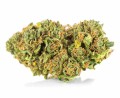 susz cbd gorilla gold kraina konopi sklep cbd 1g 2g 3g 4g 5g 10g 20g 30g 40g 50g 100g 200g 300g 400g 500g 1000g 1kg 2kg 5kg 10kg hurt detal (5).jpg