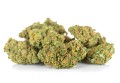 susz cbd gorilla gold kraina konopi sklep cbd 1g 2g 3g 4g 5g 10g 20g 30g 40g 50g 100g 200g 300g 400g 500g 1000g 1kg 2kg 5kg 10kg hurt detal (8).jpg
