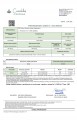 gorilla cert.JPG