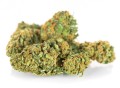 susz cbd gorilla gold kraina konopi sklep cbd 1g 2g 3g 4g 5g 10g 20g 30g 40g 50g 100g 200g 300g 400g 500g 1000g 1kg 2kg 5kg 10kg hurt detal (10).jpg