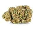 susz cbd jack herer kraina konopi sklep cbd 1g 2g 3g 4g 5g 10g 20g 30g 40g 50g 100g 200g 300g 400g 500g 1000g 1kg 2kg 5kg 10kg hurt detal (3).jpg