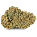 susz cbd jack herer kraina konopi sklep cbd 1g 2g 3g 4g 5g 10g 20g 30g 40g 50g 100g 200g 300g 400g 500g 1000g 1kg 2kg 5kg 10kg hurt detal (4).jpg