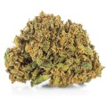 susz cbd jack herer kraina konopi sklep cbd 1g 2g 3g 4g 5g 10g 20g 30g 40g 50g 100g 200g 300g 400g 500g 1000g 1kg 2kg 5kg 10kg hurt detal (5).jpg
