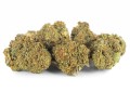 susz cbd jack herer kraina konopi sklep cbd 1g 2g 3g 4g 5g 10g 20g 30g 40g 50g 100g 200g 300g 400g 500g 1000g 1kg 2kg 5kg 10kg hurt detal (6).jpg