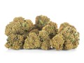 susz cbd jack herer kraina konopi sklep cbd 1g 2g 3g 4g 5g 10g 20g 30g 40g 50g 100g 200g 300g 400g 500g 1000g 1kg 2kg 5kg 10kg hurt detal (7).jpg
