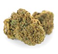 susz cbd jack herer kraina konopi sklep cbd 1g 2g 3g 4g 5g 10g 20g 30g 40g 50g 100g 200g 300g 400g 500g 1000g 1kg 2kg 5kg 10kg hurt detal (8).jpg