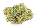 susz cbd amnesia haze kraina konopi sklep cbd 1g 2g 3g 4g 5g 10g 20g 30g 40g 50g 100g 200g 300g 400g 500g 1000g 1kg 2kg 5kg 10kg hurt detal (3).JPG