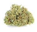 susz cbd amnesia haze kraina konopi sklep cbd 1g 2g 3g 4g 5g 10g 20g 30g 40g 50g 100g 200g 300g 400g 500g 1000g 1kg 2kg 5kg 10kg hurt detal (4).JPG