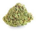 susz cbd amnesia haze kraina konopi sklep cbd 1g 2g 3g 4g 5g 10g 20g 30g 40g 50g 100g 200g 300g 400g 500g 1000g 1kg 2kg 5kg 10kg hurt detal (5).JPG