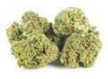 susz cbd amnesia haze kraina konopi sklep cbd 1g 2g 3g 4g 5g 10g 20g 30g 40g 50g 100g 200g 300g 400g 500g 1000g 1kg 2kg 5kg 10kg hurt detal (7).JPG
