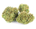 susz cbd amnesia haze kraina konopi sklep cbd 1g 2g 3g 4g 5g 10g 20g 30g 40g 50g 100g 200g 300g 400g 500g 1000g 1kg 2kg 5kg 10kg hurt detal (9).JPG