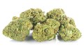 susz cbd amnesia haze kraina konopi sklep cbd 1g 2g 3g 4g 5g 10g 20g 30g 40g 50g 100g 200g 300g 400g 500g 1000g 1kg 2kg 5kg 10kg hurt detal (11).jpg