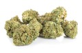 susz cbd ak 47 kraina konopi sklep cbd 1g 2g 3g 4g 5g 10g 20g 30g 40g 50g 100g 200g 300g 400g 500g 1000g 1kg 2kg 5kg 10kg hurt detal (2).JPG