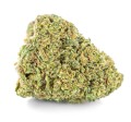 susz cbd ak 47 kraina konopi sklep cbd 1g 2g 3g 4g 5g 10g 20g 30g 40g 50g 100g 200g 300g 400g 500g 1000g 1kg 2kg 5kg 10kg hurt detal (9).jpg