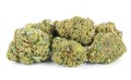 susz cbd ak 47 kraina konopi sklep cbd 1g 2g 3g 4g 5g 10g 20g 30g 40g 50g 100g 200g 300g 400g 500g 1000g 1kg 2kg 5kg 10kg hurt detal (26).jpg