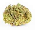 susz cbd white widow kraina konopi sklep cbd 1g 2g 3g 4g 5g 10g 20g 30g 40g 50g 100g 200g 300g 400g 500g 1000g 1kg 2kg 5kg 10kg hurt detal (5).JPG
