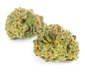 susz cbd white widow kraina konopi sklep cbd 1g 2g 3g 4g 5g 10g 20g 30g 40g 50g 100g 200g 300g 400g 500g 1000g 1kg 2kg 5kg 10kg hurt detal (16).JPG