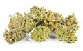 susz cbd white widow kraina konopi sklep cbd 1g 2g 3g 4g 5g 10g 20g 30g 40g 50g 100g 200g 300g 400g 500g 1000g 1kg 2kg 5kg 10kg hurt detal (19).jpg