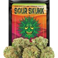 Sour Skunk KrainaKonopi (1).jpg