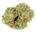 Sour Skunk KrainaKonopi (3).JPG