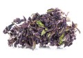 purple haze kraina konopi (3).JPG