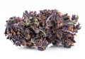purple haze kraina konopi (5).JPG