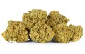 Orange Bud Kraina Konopi (2).jpg