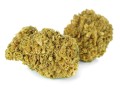 Orange Bud Kraina Konopi (3).jpg