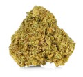 Orange Bud Kraina Konopi (4).jpg
