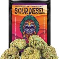 susz cbd sour diesel kraina konopi sklep cbd 1g 2g 3g 4g 5g 10g 20g 30g 40g 50g 100g 200g 300g 400g 500g 1000g 1kg 2kg 5kg 10kg hurt detal (1).jpg