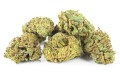 susz cbd sour diesel kraina konopi sklep cbd 1g 2g 3g 4g 5g 10g 20g 30g 40g 50g 100g 200g 300g 400g 500g 1000g 1kg 2kg 5kg 10kg hurt detal (7).JPG
