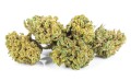 susz cbd sour diesel kraina konopi sklep cbd 1g 2g 3g 4g 5g 10g 20g 30g 40g 50g 100g 200g 300g 400g 500g 1000g 1kg 2kg 5kg 10kg hurt detal (8).JPG