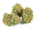 susz cbd sour diesel kraina konopi sklep cbd 1g 2g 3g 4g 5g 10g 20g 30g 40g 50g 100g 200g 300g 400g 500g 1000g 1kg 2kg 5kg 10kg hurt detal (9).JPG