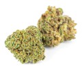 susz cbd sour diesel kraina konopi sklep cbd 1g 2g 3g 4g 5g 10g 20g 30g 40g 50g 100g 200g 300g 400g 500g 1000g 1kg 2kg 5kg 10kg hurt detal (10).JPG