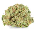 Cannatonic Kraina Konopi (3).JPG