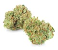 Cannatonic Kraina Konopi (4).JPG
