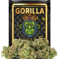 Gorilla-Gold.jpg