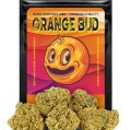 Orange-Bud.jpg
