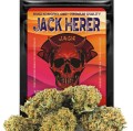 Jack-Herer.jpg