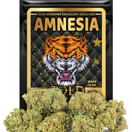 Amnesia-Gold.jpg