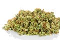 susz cbd trim trym cbg kraina konopi sklep cbd 1g 2g 3g 4g 5g 10g 20g 30g 40g 50g 100g 200g 300g 400g 500g 1000g 1kg 2kg 5kg 10kg hurt detal (4).JPG