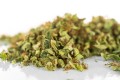 susz cbd trim trym cbg kraina konopi sklep cbd 1g 2g 3g 4g 5g 10g 20g 30g 40g 50g 100g 200g 300g 400g 500g 1000g 1kg 2kg 5kg 10kg hurt detal (5).JPG