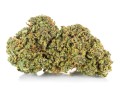 susz cbd amnesia gold kraina konopi sklep cbd 1g 2g 3g 4g 5g 10g 20g 30g 40g 50g 100g 200g 300g 400g 500g 1000g 1kg 2kg 5kg 10kg hurt detal  (3).jpg