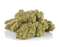 susz cbd amnesia gold kraina konopi sklep cbd 1g 2g 3g 4g 5g 10g 20g 30g 40g 50g 100g 200g 300g 400g 500g 1000g 1kg 2kg 5kg 10kg hurt detal  (6).jpg