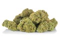 susz cbd amnesia gold kraina konopi sklep cbd 1g 2g 3g 4g 5g 10g 20g 30g 40g 50g 100g 200g 300g 400g 500g 1000g 1kg 2kg 5kg 10kg hurt detal  (7).jpg