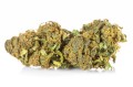 susz cbd blueberry kraina konopi sklep cbd 1g 2g 3g 4g 5g 10g 20g 30g 40g 50g 100g 200g 300g 400g 500g 1000g 1kg 2kg 5kg 10kg hurt detal  (5).jpg