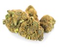 susz cbd blueberry kraina konopi sklep cbd 1g 2g 3g 4g 5g 10g 20g 30g 40g 50g 100g 200g 300g 400g 500g 1000g 1kg 2kg 5kg 10kg hurt detal  (8).jpg