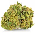 susz cbd lemon haze kraina konopi sklep cbd 1g 2g 3g 4g 5g 10g 20g 30g 40g 50g 100g 200g 300g 400g 500g 1000g 1kg 2kg 5kg 10kg hurt detal (2).jpg